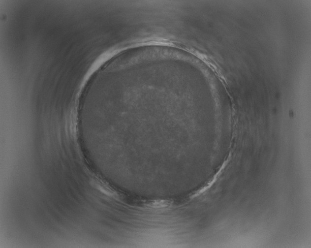 X0000051890056200506241359