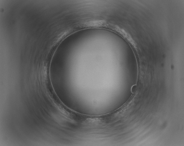 X0000051890057200506241359