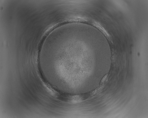 X0000051890058200506241359