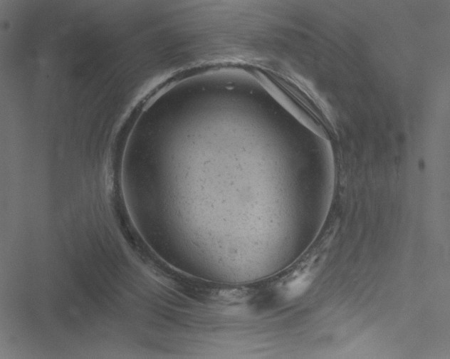 X0000051890060200506241359