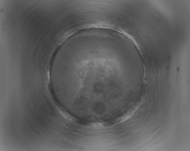 X0000051890061200506241359