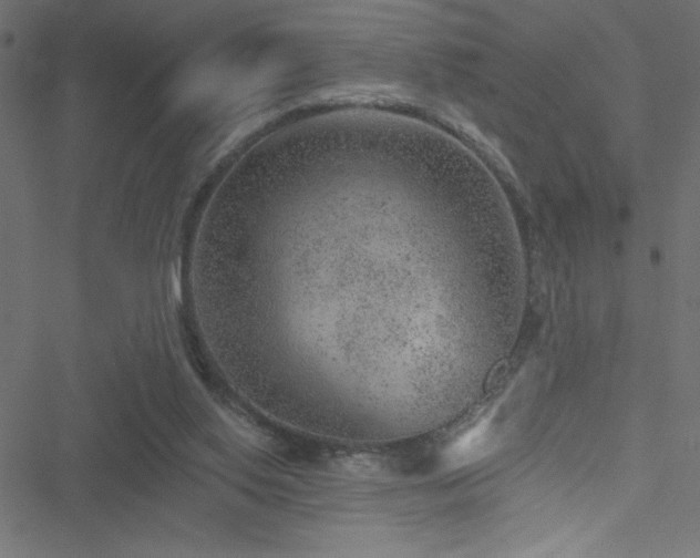 X0000051890062200506241359