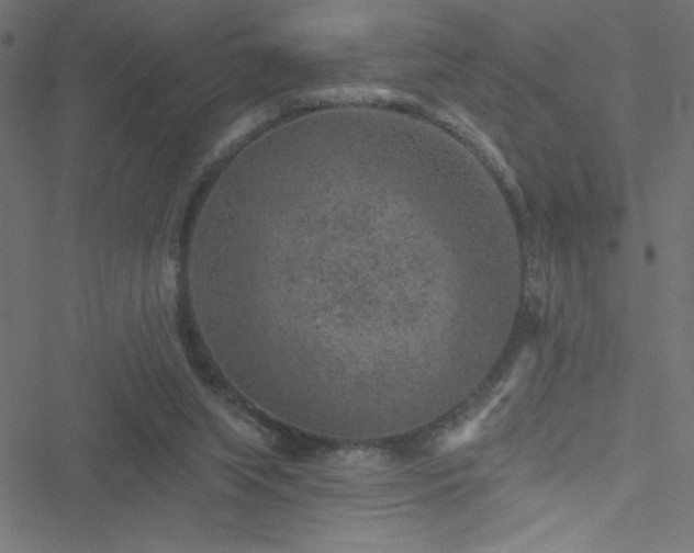 X0000051890063200506241359