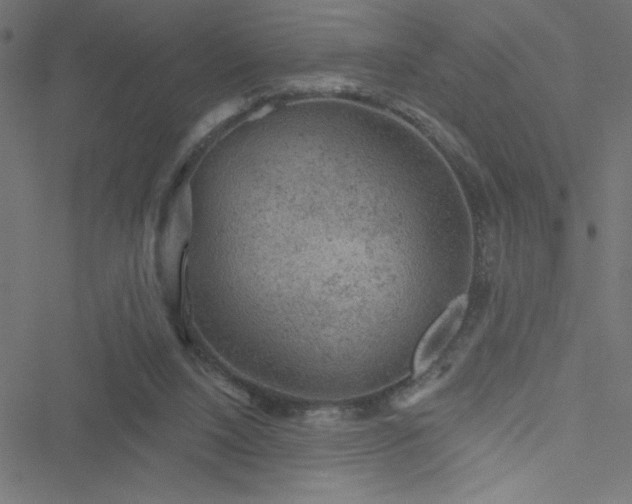 X0000051890064200506241359