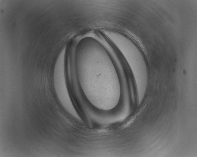 X0000051890065200506241359