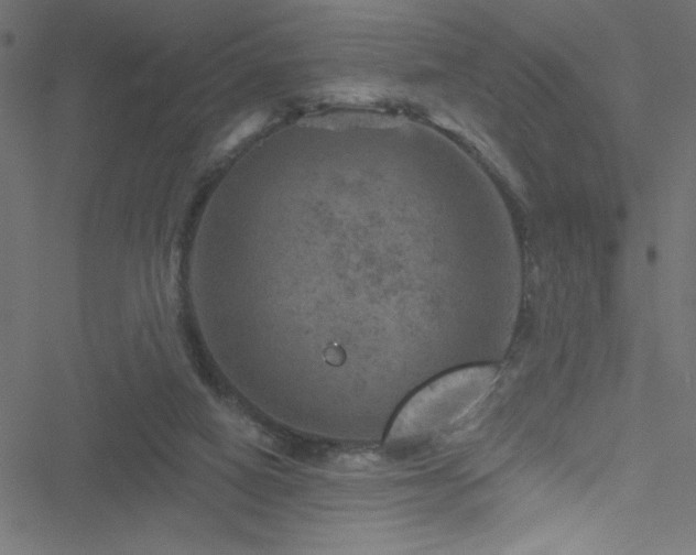 X0000051890066200506241359