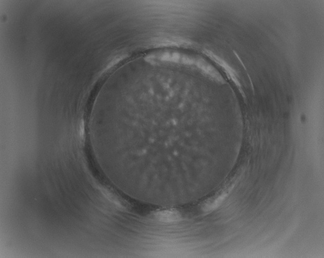 X0000051890067200506241359