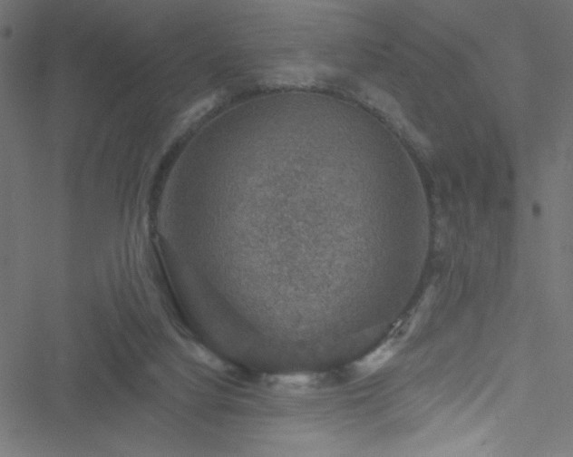 X0000051890068200506241359