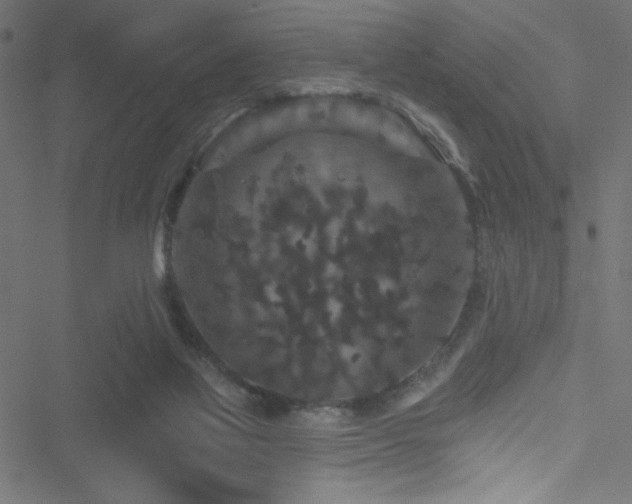 X0000051890069200506241359