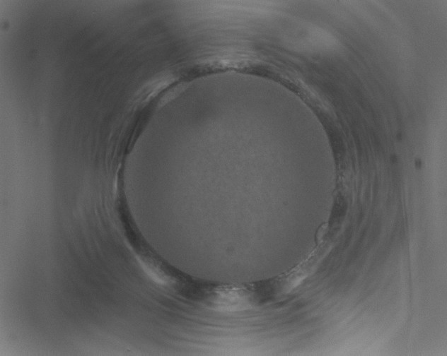 X0000051890070200506241359