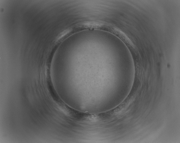 X0000051890071200506241359