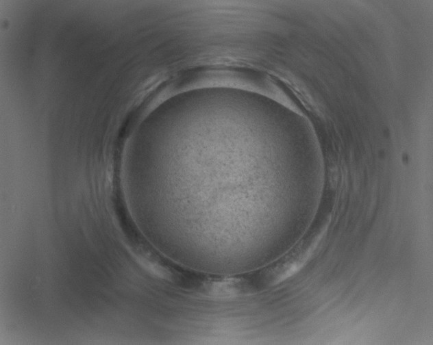 X0000051890072200506241359