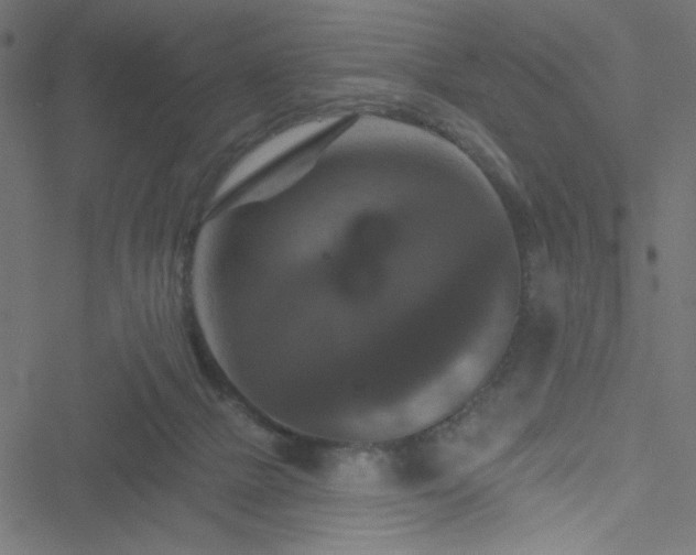 X0000051890073200506241359