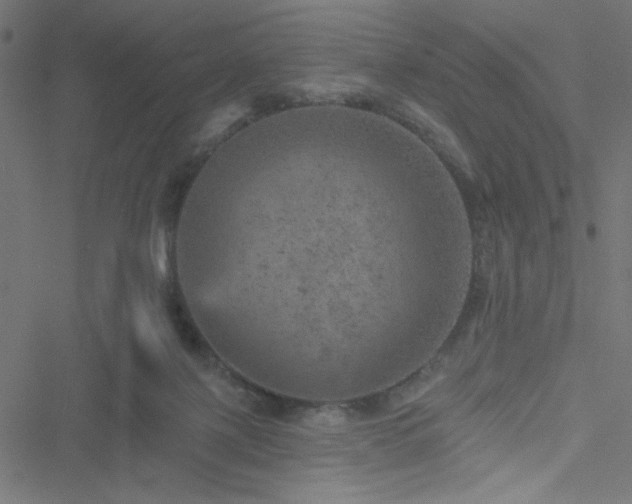 X0000051890075200506241359