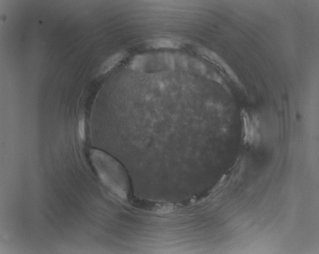 X0000051890076200506241359