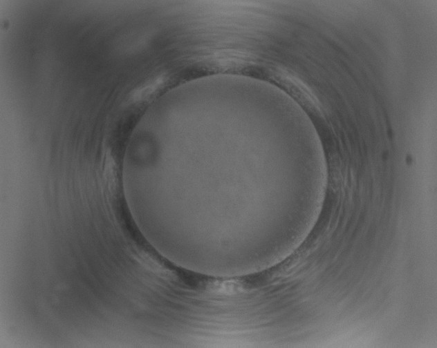 X0000051890077200506241359