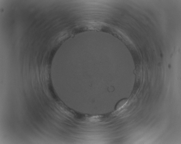 X0000051890078200506241359