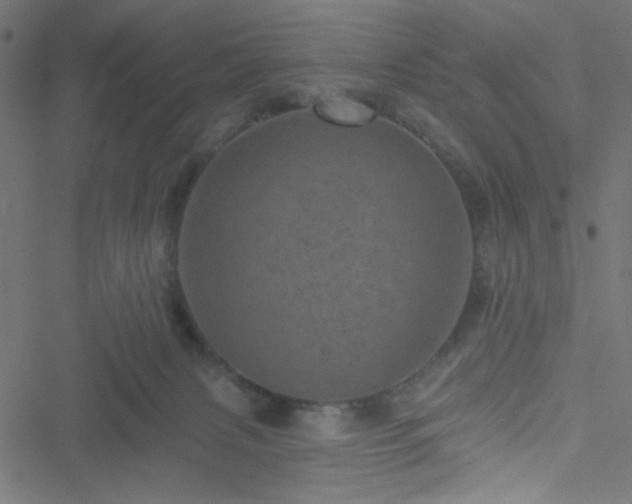 X0000051890079200506241359