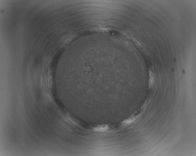 X0000051890080200506241359