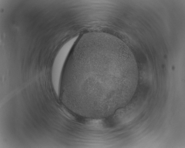 X0000051890081200506241400