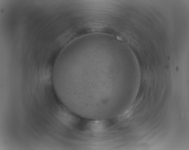 X0000051890082200506241400