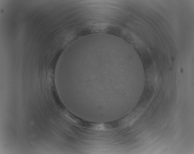 X0000051890083200506241400