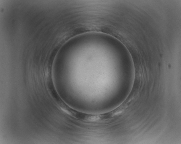 X0000051890084200506241400