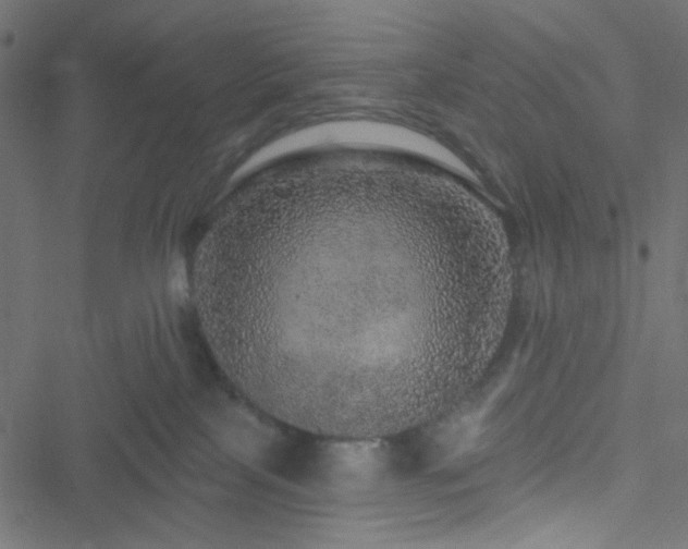 X0000051890089200506241400