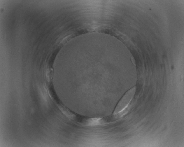 X0000051890090200506241400