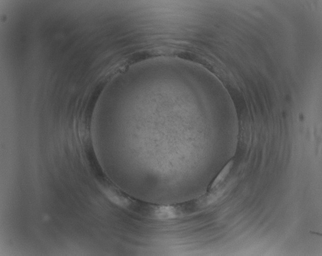 X0000051890091200506241400