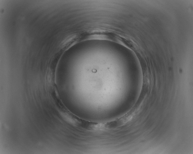 X0000051890092200506241400