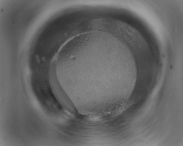 X0000051890093200506241400