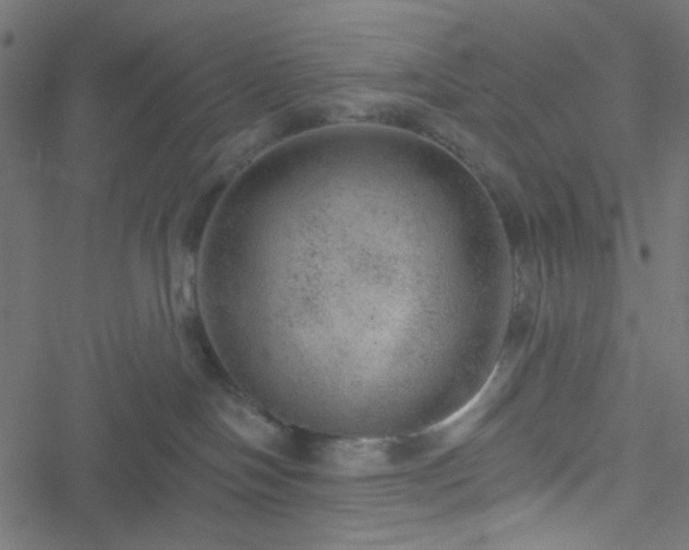 X0000051890094200506241400