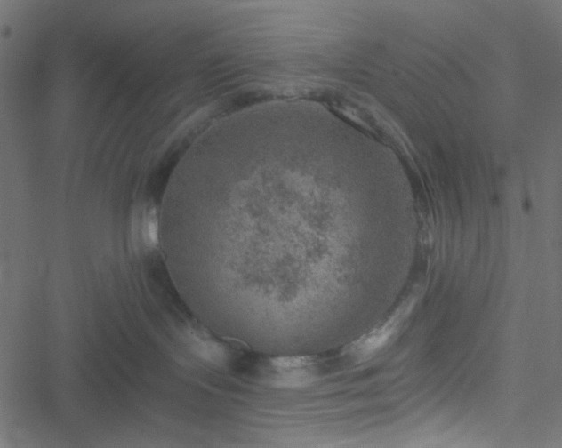 X0000051890095200506241400