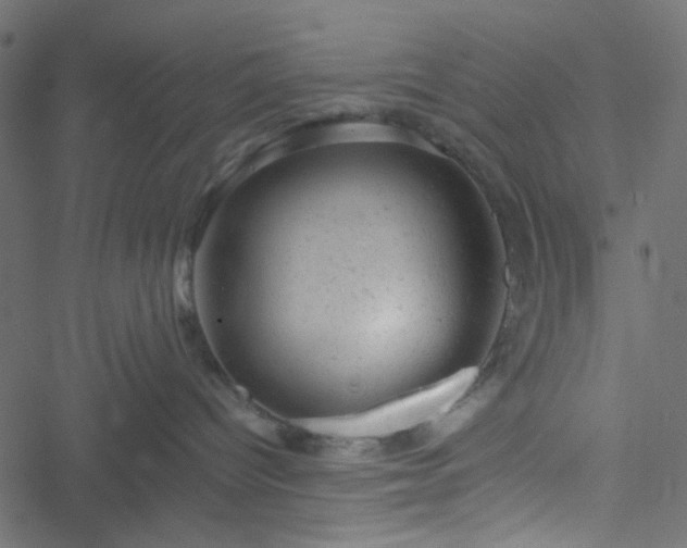 X0000051890096200506241400