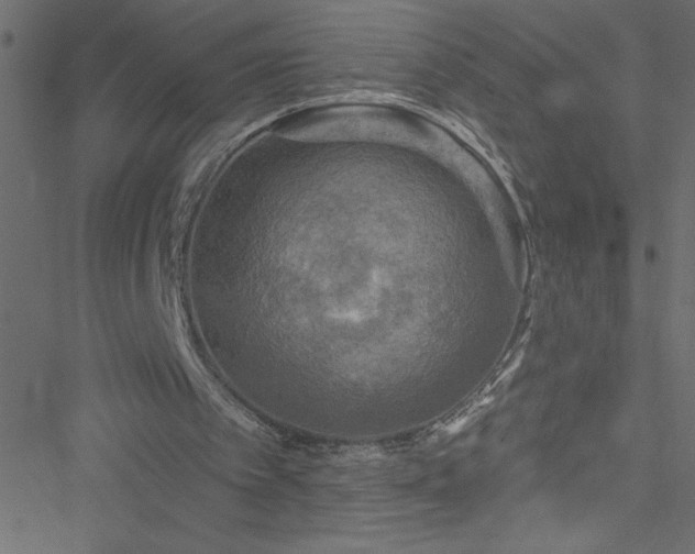 X0000051890097200506241359