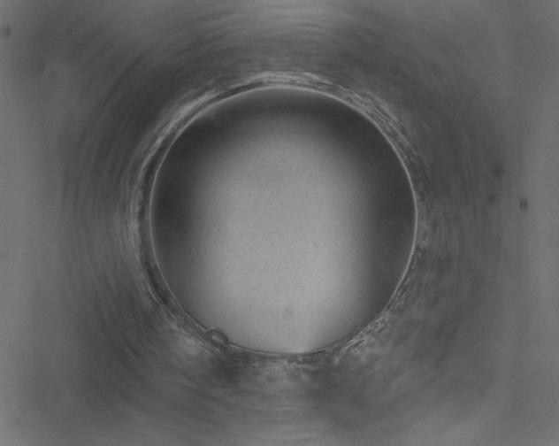 X0000051890098200506241359