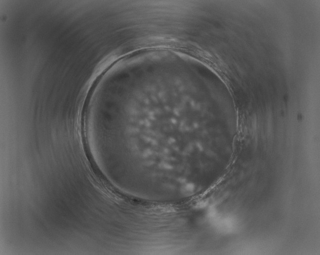 X0000051890099200506241359