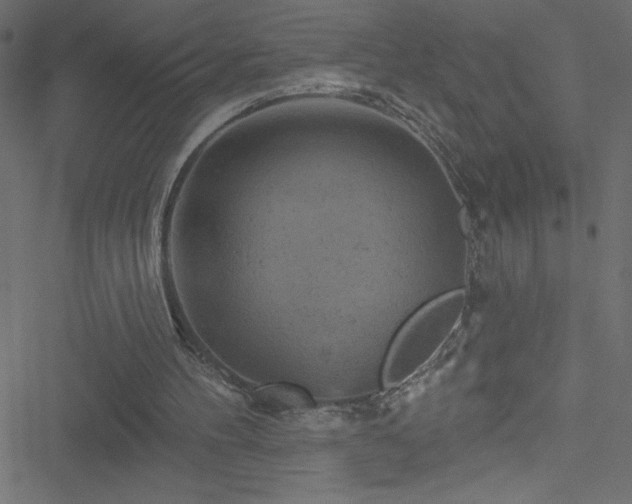 X0000051890100200506241359