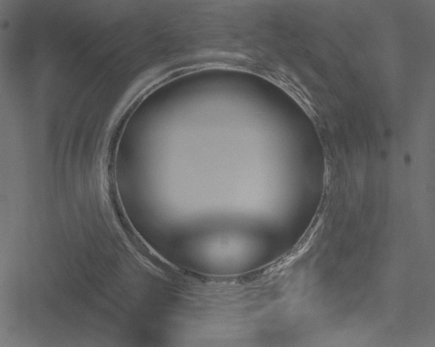 X0000051890101200506241359