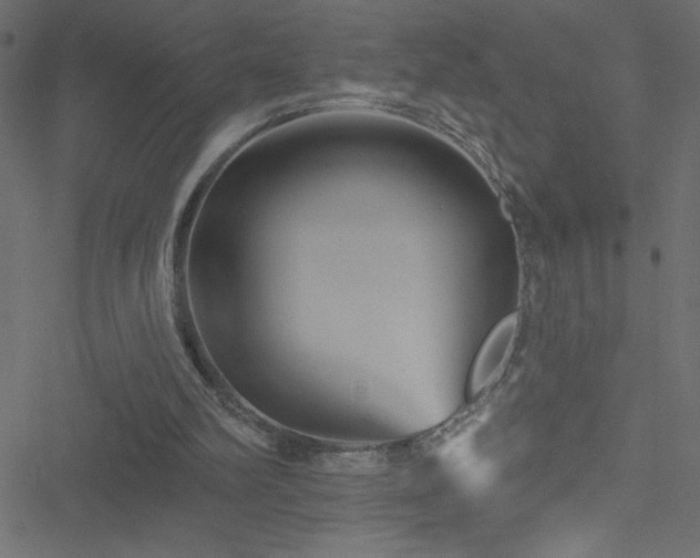 X0000051890102200506241359