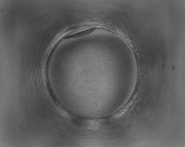 X0000051890103200506241359