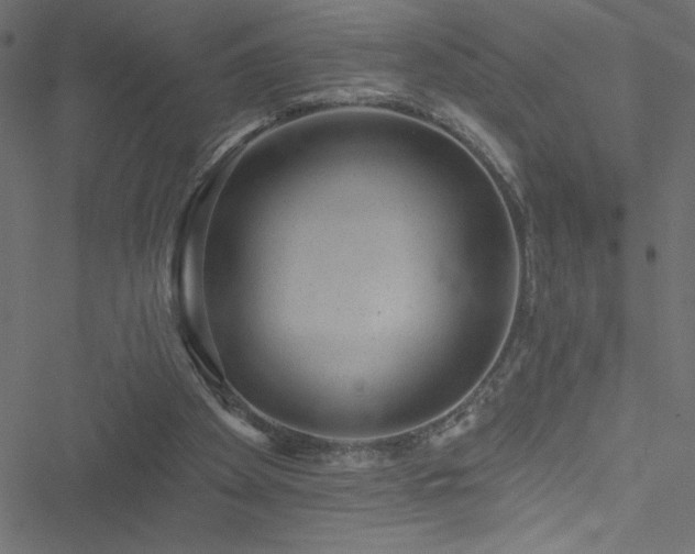 X0000051890105200506241359