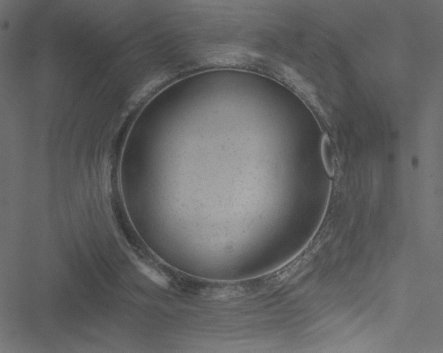 X0000051890106200506241359