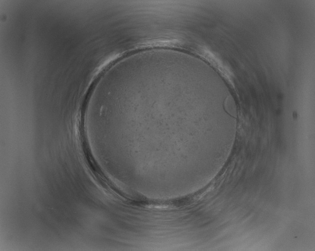 X0000051890107200506241359