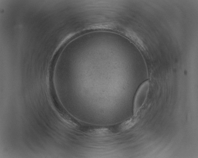 X0000051890108200506241359