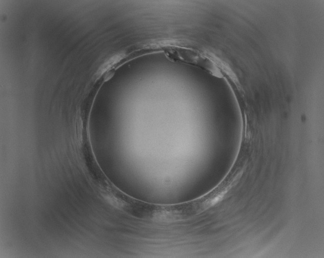 X0000051890109200506241359