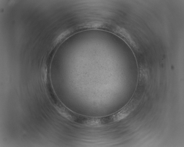 X0000051890110200506241359