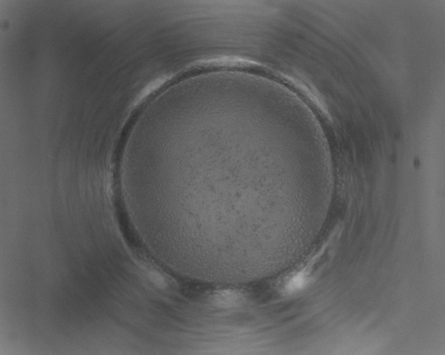 X0000051890111200506241359