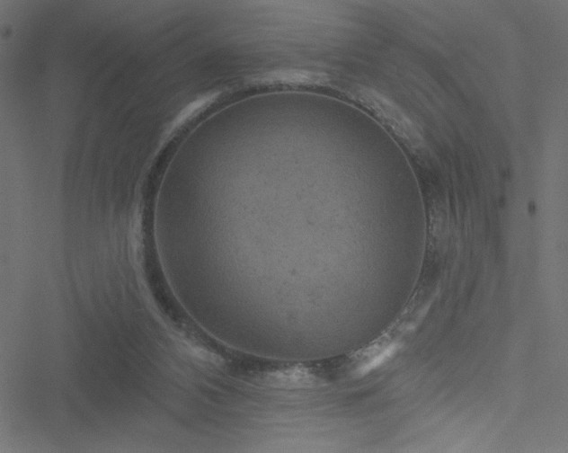 X0000051890112200506241359